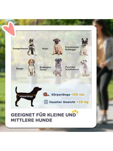 Pawhut Hundewagen 102L x 62B x 105H cm