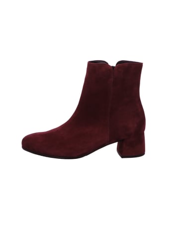 Gabor Stiefelette in bordo