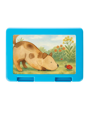 Mr. & Mrs. Panda Bento Box Hund Marienkäfer Design ohne Spruch in Weiß