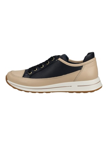 ara Sneaker in Beige/Blau