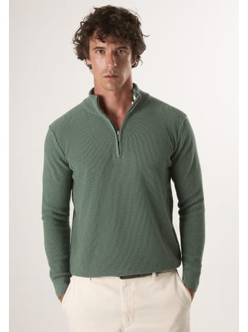 Felix Hardy Pullover in Grün