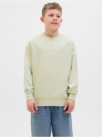 JACK & JONES Junior Sweatshirt in Celadon Tint