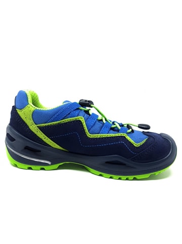LOWA Wanderschuh Robin EVO GTX Lo in Blau