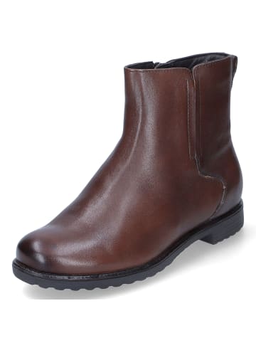 Ara Shoes Stiefeletten in Braun