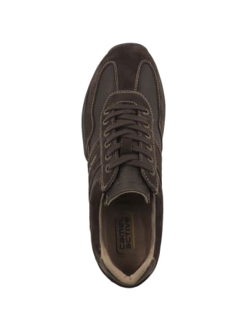 Camel Active Sneaker low 54DV001 in dunkelbraun