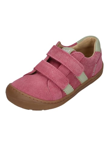 KOEL Sneaker Low DENIS SUEDE in rosa