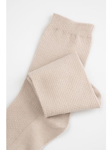 Coccodrillo Socken in beige