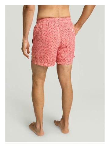 Hackett London Badeshorts in bunt