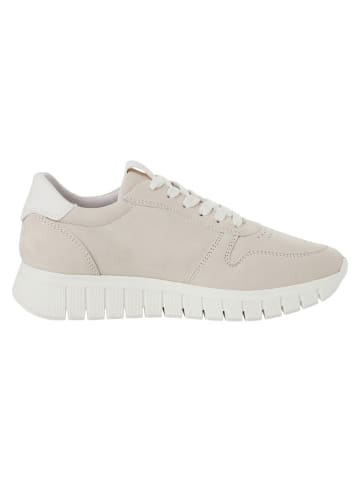 Tamaris Sneaker in IVORY