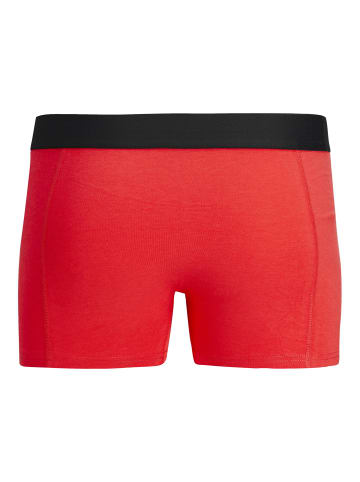 Jack & Jones 3-er Stück Pack Boxershorts Trunks Set Retro Unterwäsche JACLUCAS in Rot-Blau