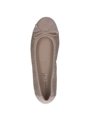 Caprice Ballerina in SAND SUEDE