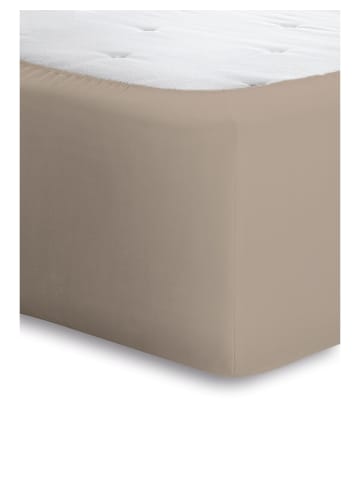 Bassetti Spannbettlaken BOXSPRING in taupe