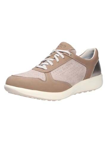 Joya SchnĆ¼rschuh BRITT BEIGE in beige