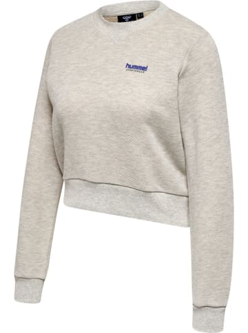Hummel Hoodie "Hmllgc Shai Short Sweatshirt" in Grau