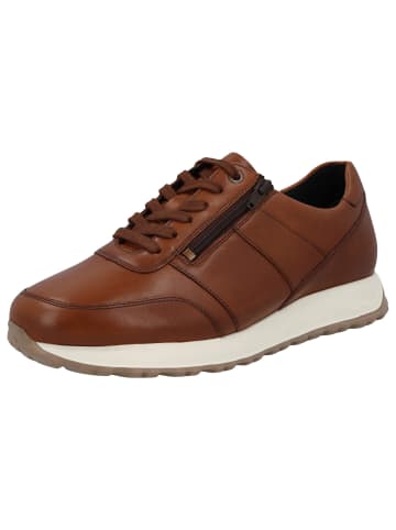 Solidus Schnürschuhe Harry - Weite H in Braun
