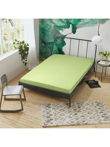 Erwin Müller Interlock-Jersey Spannbettlaken Nürnberg in lindgrün