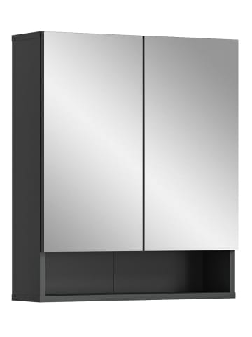 ebuy24 Spiegelschrank Lago Grau 60 x 18 cm