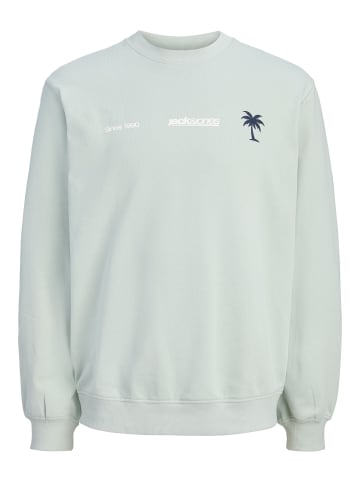 JACK & JONES Junior Sweatshirt in Aqua Gray
