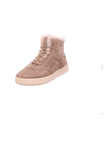 Sioux Sneaker Low in braun