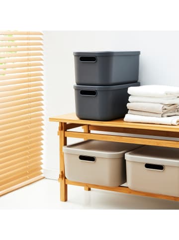 Rotho Aufbewahrungsbox 4er Set 12 l ALBULA LIGHT