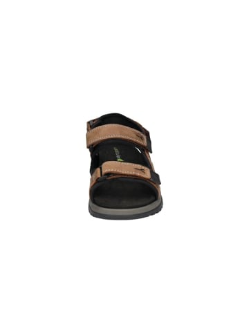 WALDLÄUFER Komfort Sandalen für Herren in braun