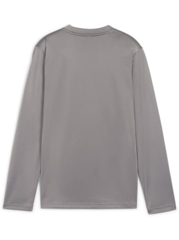 Puma Pullover "TeamGoal Training Sweat Jr" in Grau