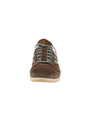 Kamo-Gutsu Sneaker low Tifo-044 in Braun