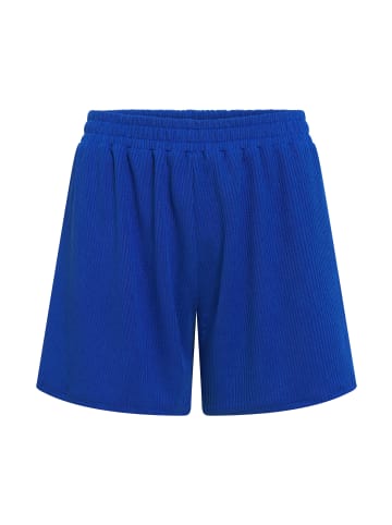 TOOCHE Shorts "Malibu Breezers" in blau