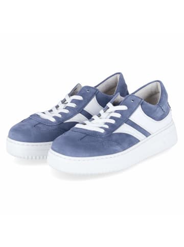Gabor Low Sneaker in blau