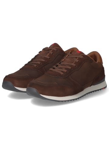 LLOYD Low Sneaker EDMOND in Braun