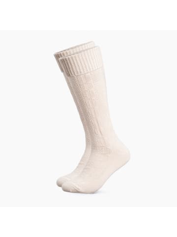 Occulto 1er Pack Lange Trachtensocken Silberdistel in Beige