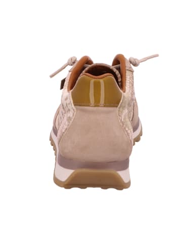 Cetti Sneaker in beige
