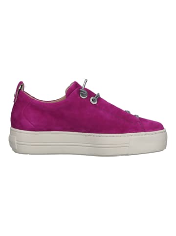 Paul Green Sneaker in Fuchsia