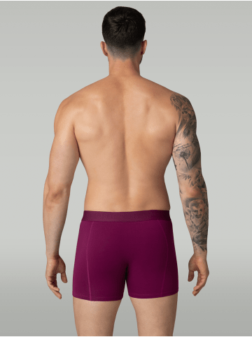 Muchachomalo 5er-Set: Boxershort in Mehrfarbig - für Herren