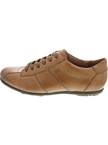 LLOYD Schnürer Braun