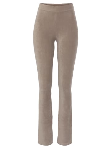 LASCANA Jazzpants in taupe