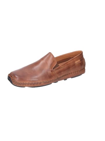Pikolinos Slipper in braun