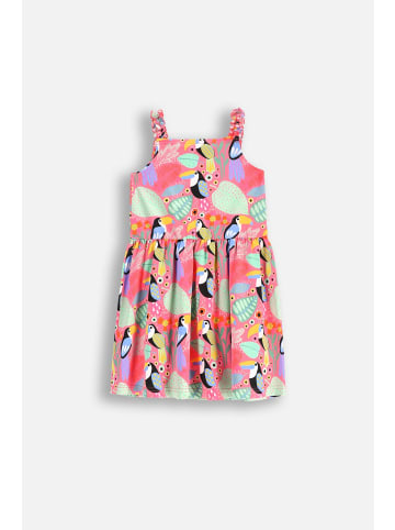 Coccodrillo Kleid in bunt