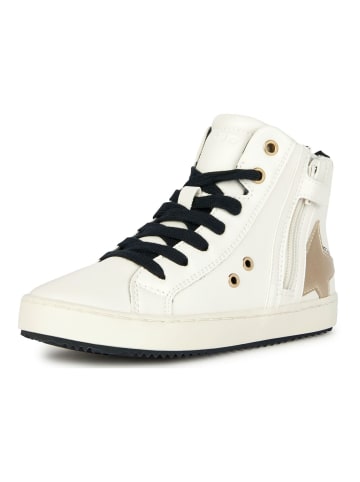 Geox Sneaker in Ivory