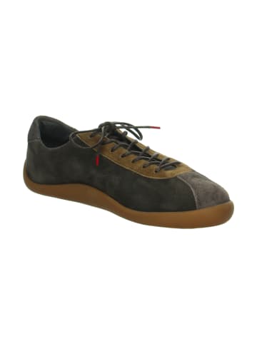 Think! Sneakers Low HAPPAT in Mocca/Kombi