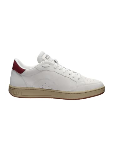 ethletic Sneaker Jesse in Chalk White | True Blood