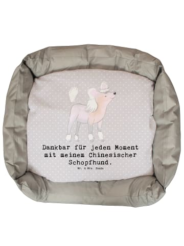 Mr. & Mrs. Panda Hundecouch Chinesischer Schopfhund Moment mit S... in Grau Pastell