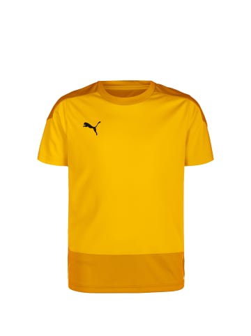 Puma Trainingsshirt TeamGOAL 23 Jersey Junior in dunkelgelb / gelb