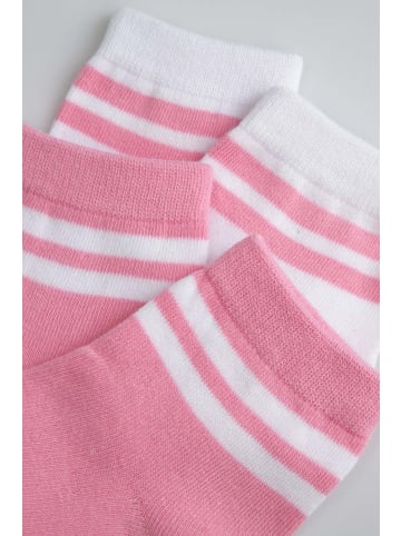 Coccodrillo Socken in bunt