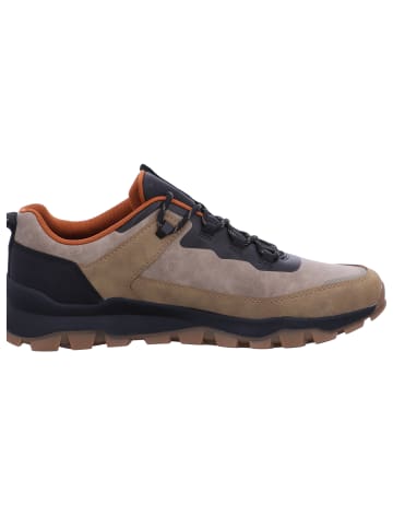 Bugatti Sneaker Amper in Beige