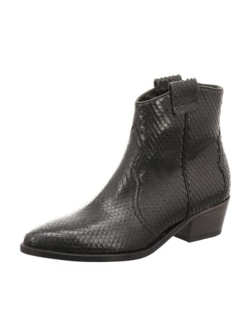 Kennel & Schmenger Stiefelette in schwarz
