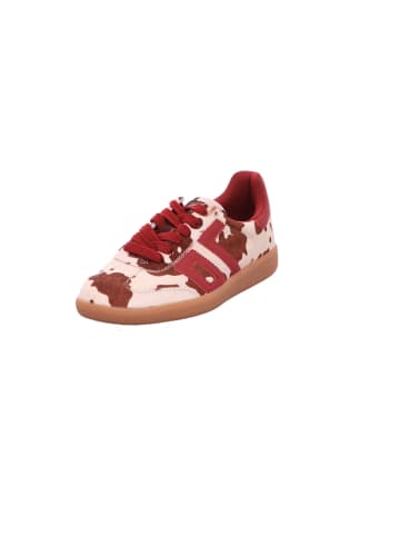 Back 70 Schnürschuh in rot