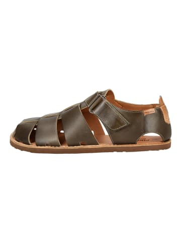 Sandalen Dunkelbraun
