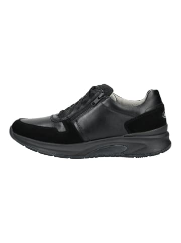 Pius Gabor Sneaker in Schwarz