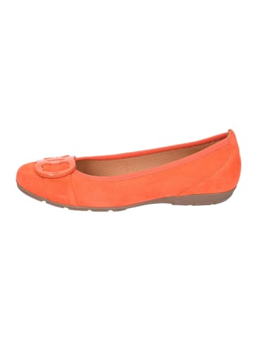 Gabor Ballerinas in pumpkin